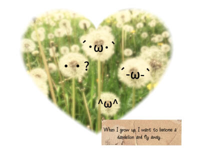 可爱萌萌蒲公英