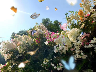 春日绿色系iPad电脑壁纸 横屏