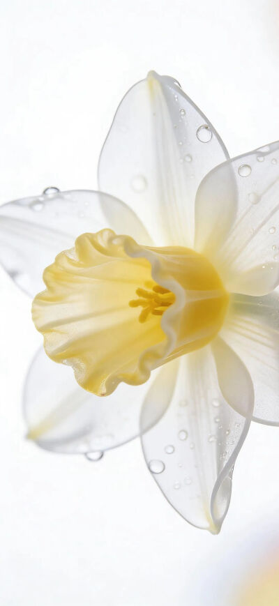 ‎#قدرات خارقة