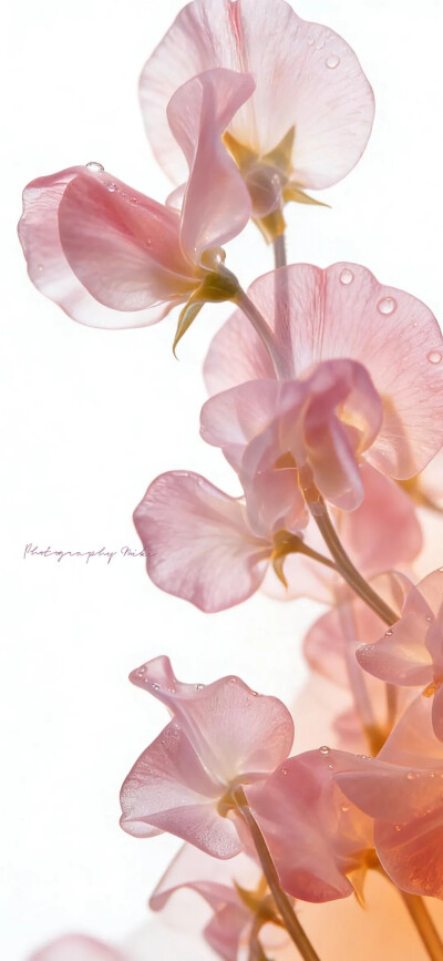 ‎#قدرات خارقة