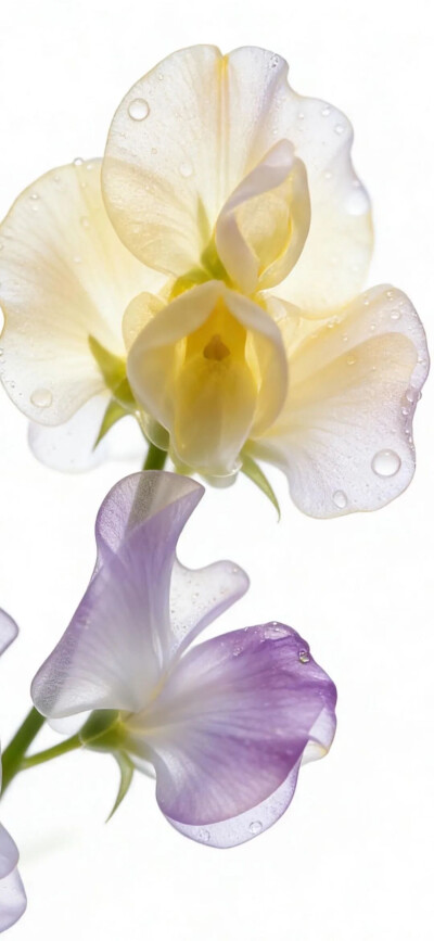 ‎#قدرات خارقة