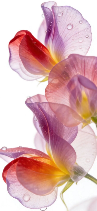 ‎#قدرات خارقة