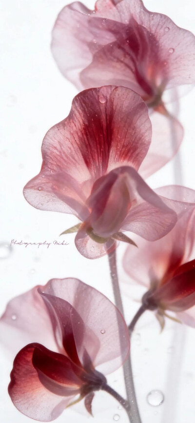 ‎#قدرات خارقة