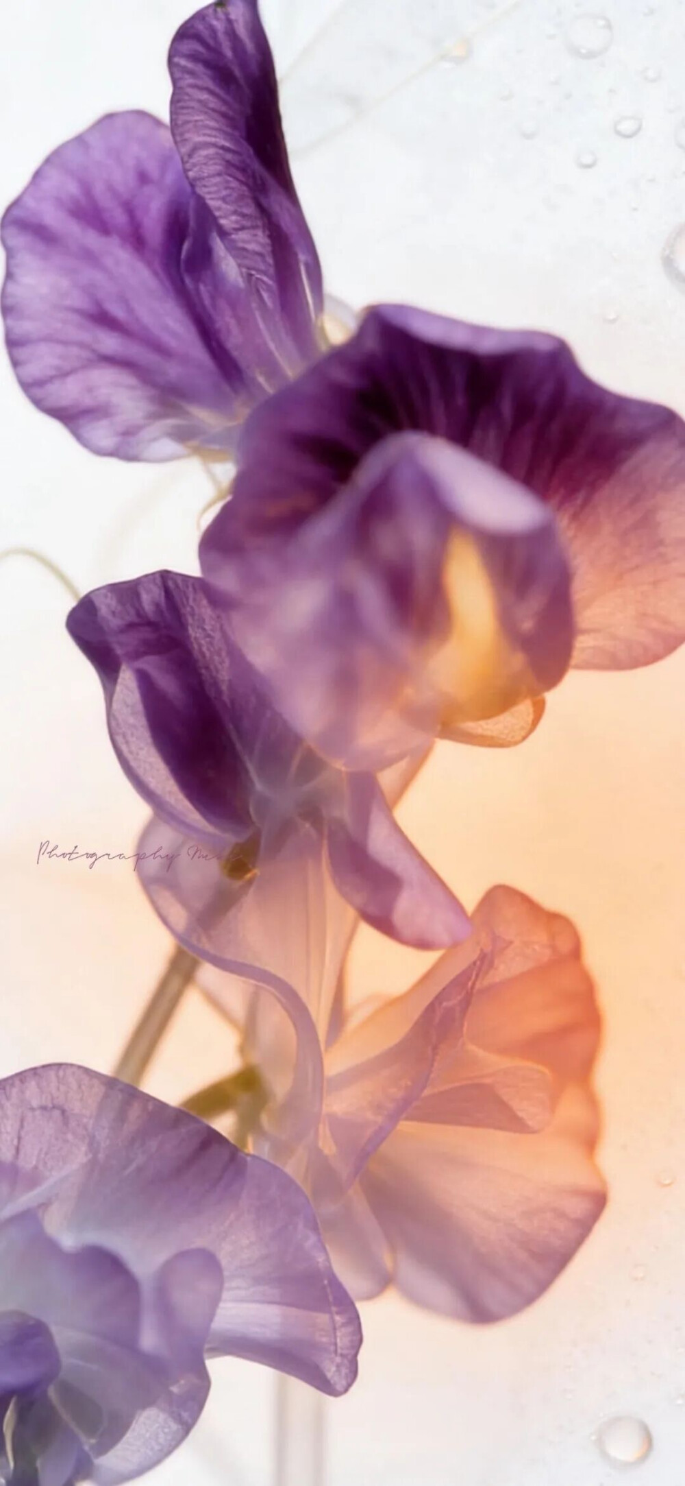 ‎#قدرات خارقة