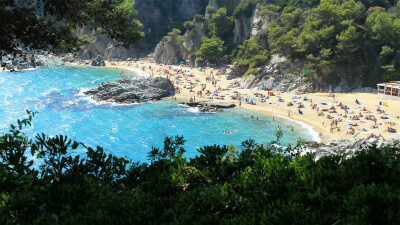 春日绿色系iPad电脑壁纸 横屏