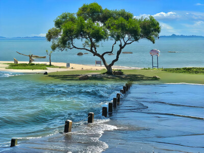 春日绿色系iPad电脑壁纸 横屏