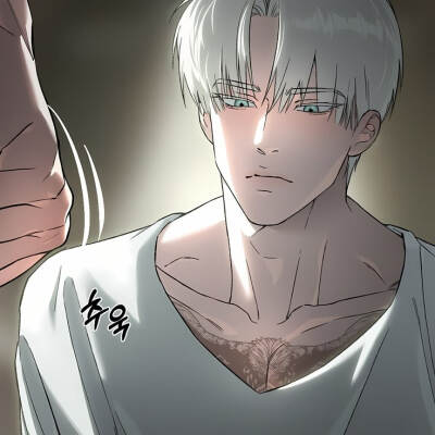 漫画：代号Anastasia
作者：은비 한
动漫男头Δ