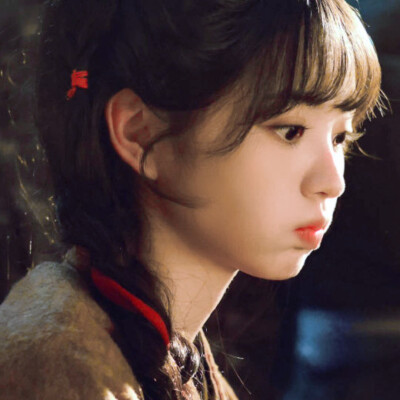 镇西北杀猪小队