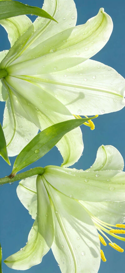 ‎#قدرات خارقة