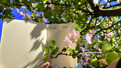 春日绿色系iPad电脑壁纸 横屏