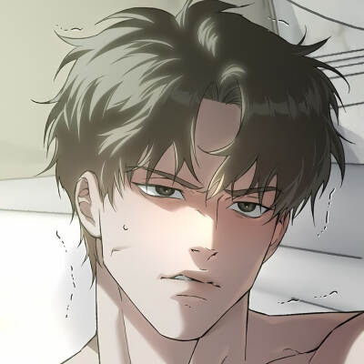 漫画：代号Anastasia
作者：은비 한
动漫男头Δ