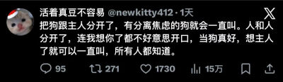 自存