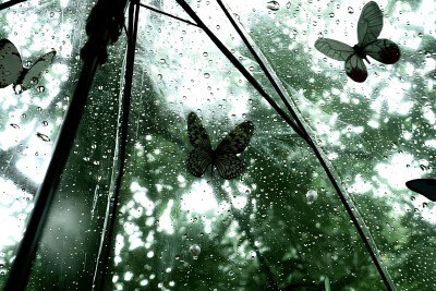 春日绿色系iPad电脑壁纸 横屏