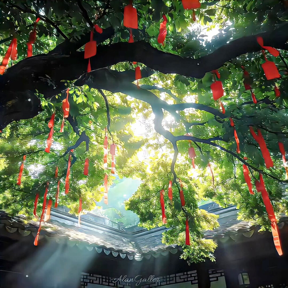 图源ks：偷喝汽水