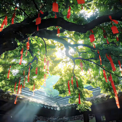 图源ks：偷喝汽水