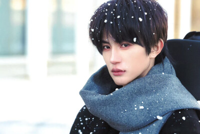 张翅 *那年冬至 ​​​