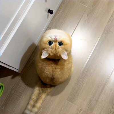 图源ks：偷喝汽水