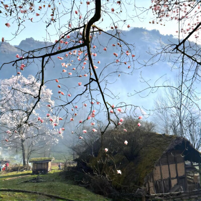 图源ks：偷喝汽水