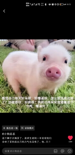 ，