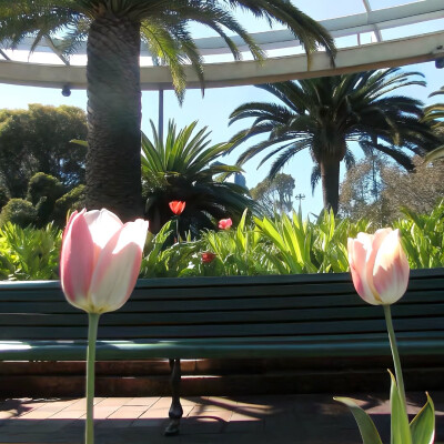 图源ks：偷喝汽水