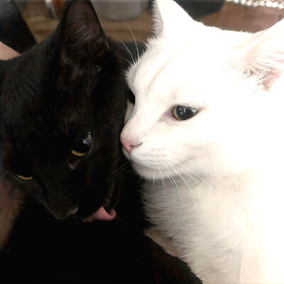 图源ks：偷喝汽水