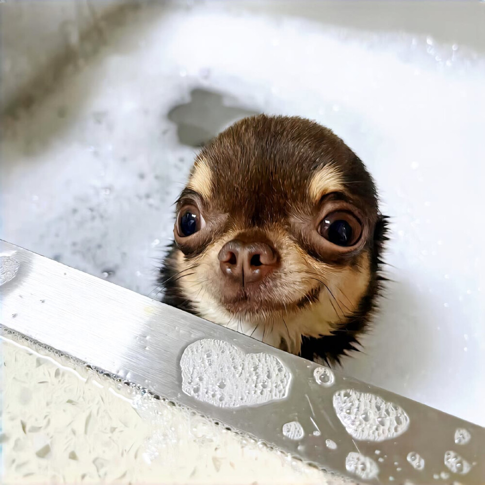 图源ks：偷喝汽水