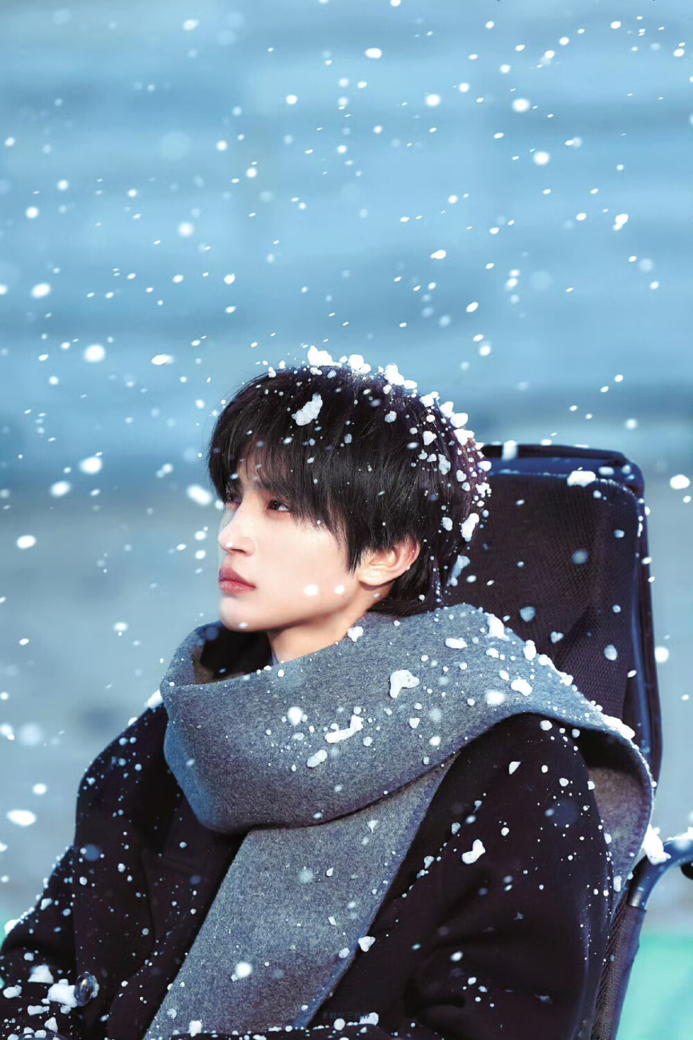 张翅 *那年冬至 ​​​