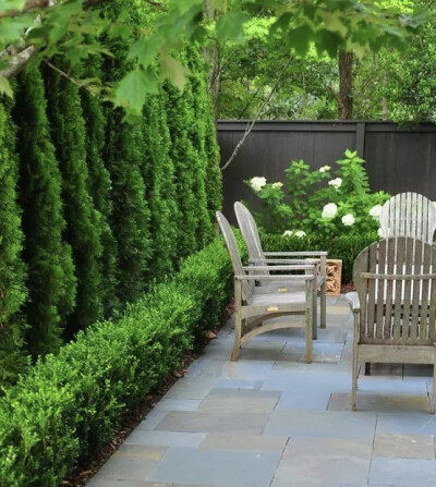 一方院子，有着花草相伴，看云卷云舒，花开花落。