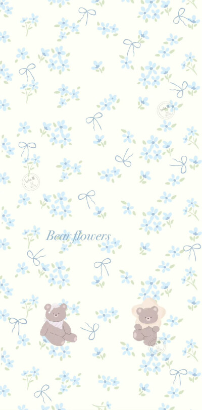 小熊壁纸