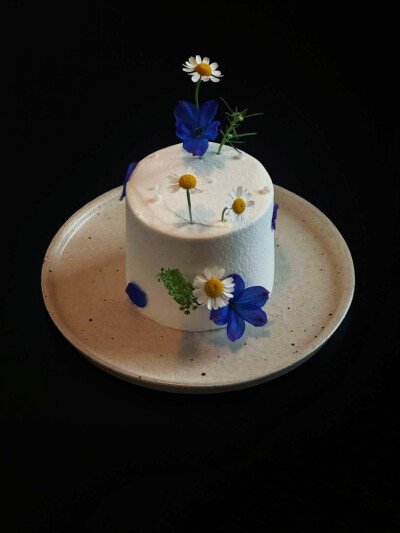 日常
蓝色的树干