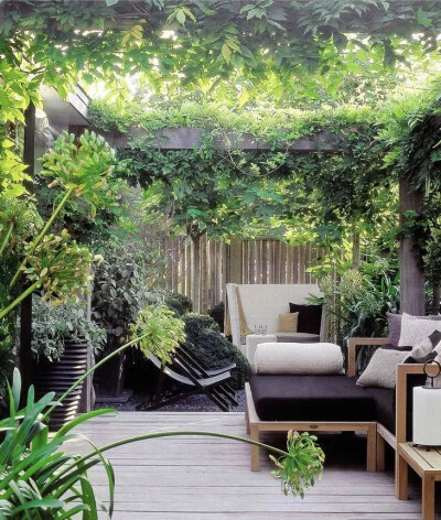 一方院子，有着花草相伴，看云卷云舒，花开花落。