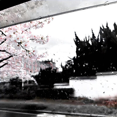 图源ks：偷喝汽水