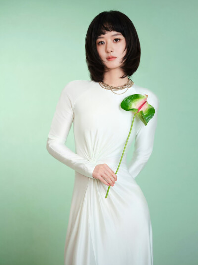 赵丽颖