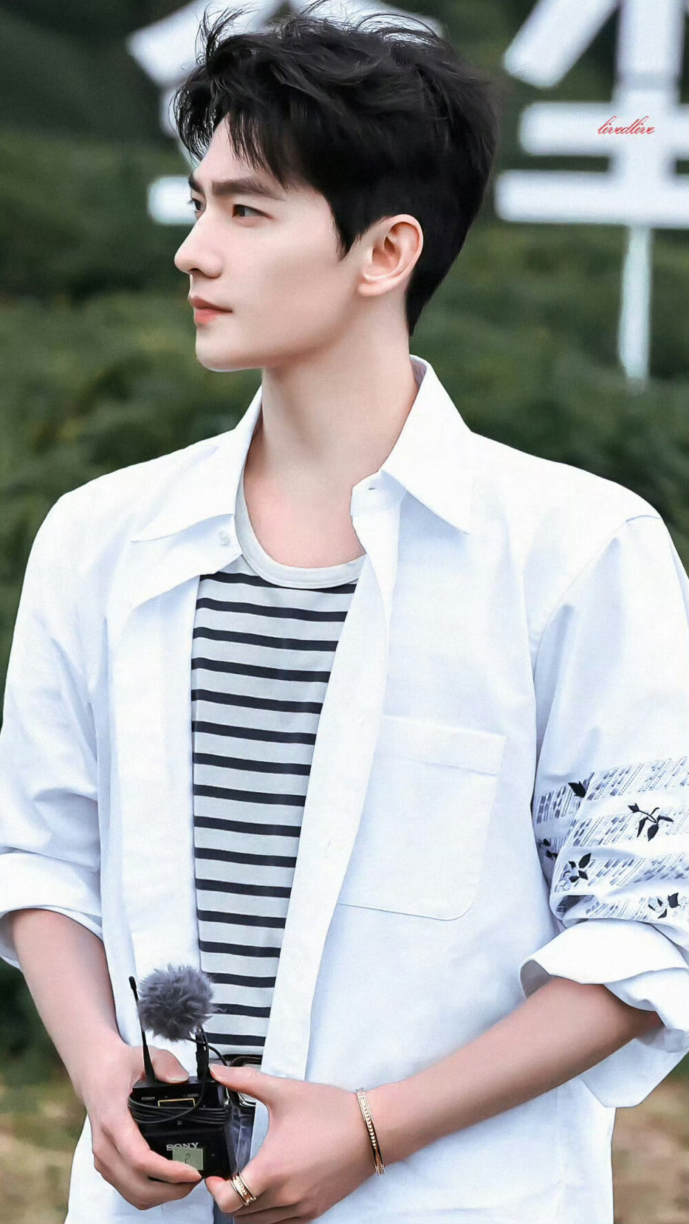 杨洋