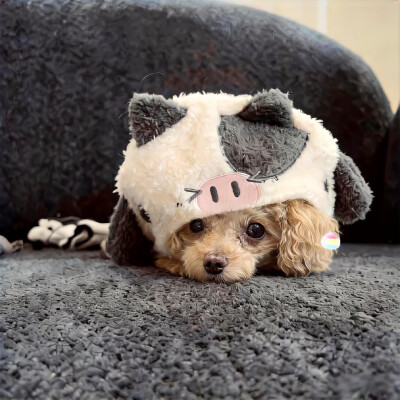 图源ks：偷喝汽水