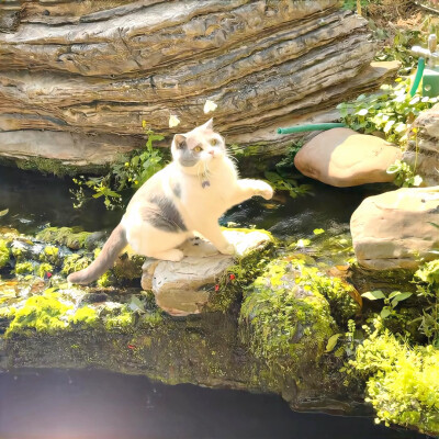 图源ks：偷喝汽水