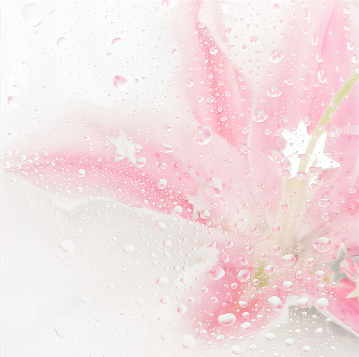 粉色系背景图 百合花背景图