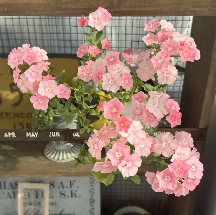 粉色系背景图