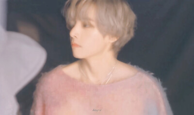 金泰亨
230919 V 'Layover ' MV Making Film
©HSY-V