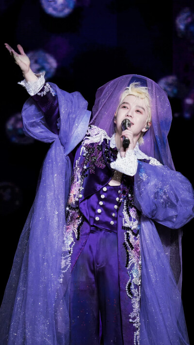 王栎鑫250222 X - 上海演唱会