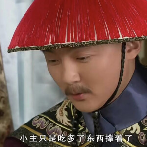 甄嬛传表情包