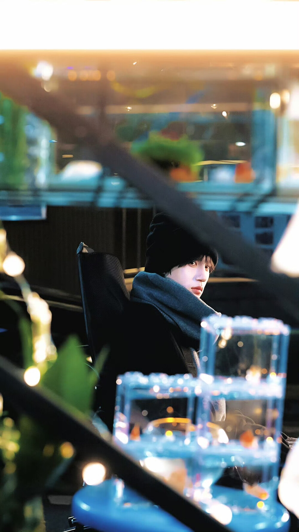 张翅 *京烁
* 那年冬至 ​​​