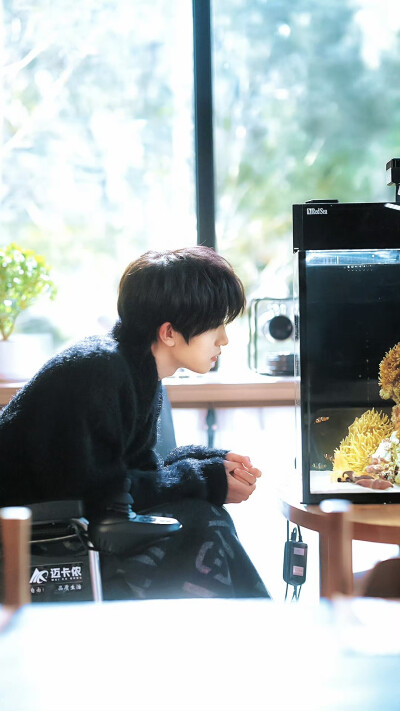 张翅 *京烁
* 那年冬至 ​​​