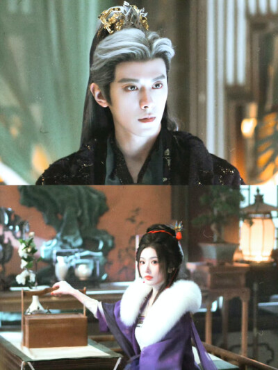 邓凯/孔雪儿｜豹豹猫猫