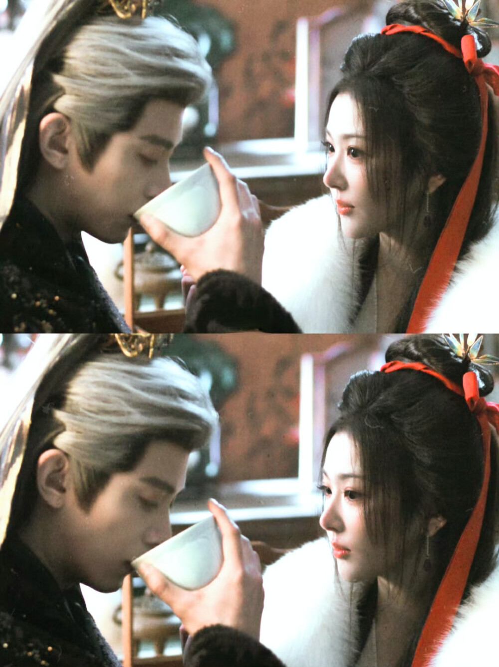 邓凯/孔雪儿｜豹豹猫猫