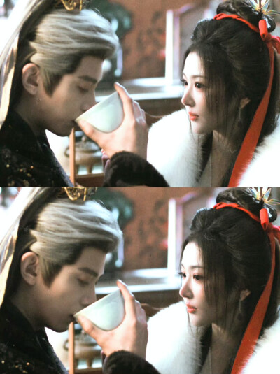 邓凯/孔雪儿｜豹豹猫猫