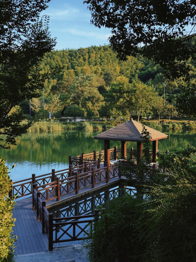 日常
冷翠摇清空