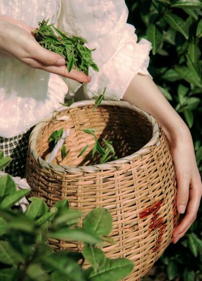 日常
冷翠摇清空