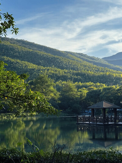 日常
冷翠摇清空