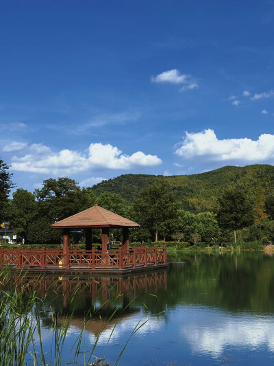 日常
冷翠摇清空